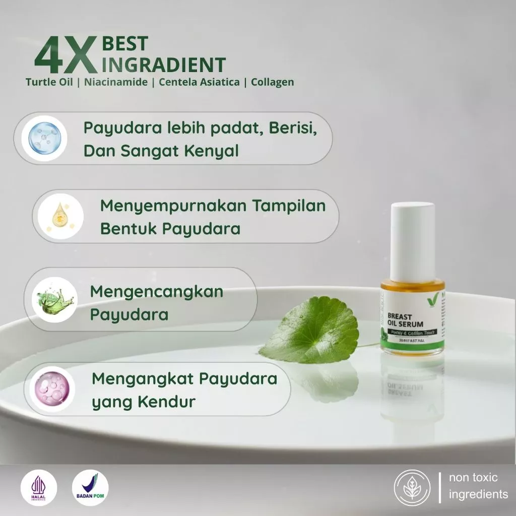 TERLARIS minyak bulus original asli 100% pengencang payu darah bpom 20ml - Image 4